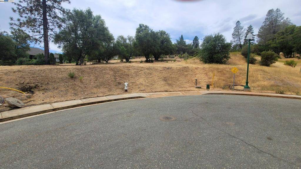 1571 Nevill Ct, Jackson, CA 95642-9999