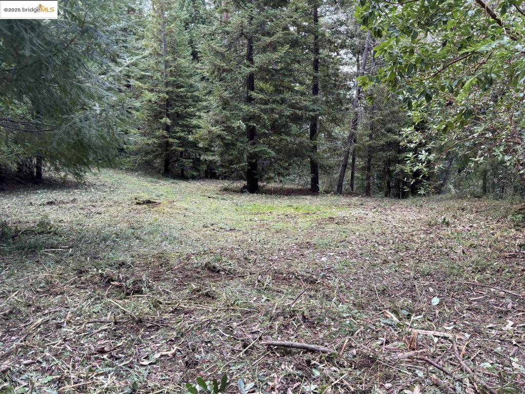 Morgan Hill, CA 95037,0 Croy RD