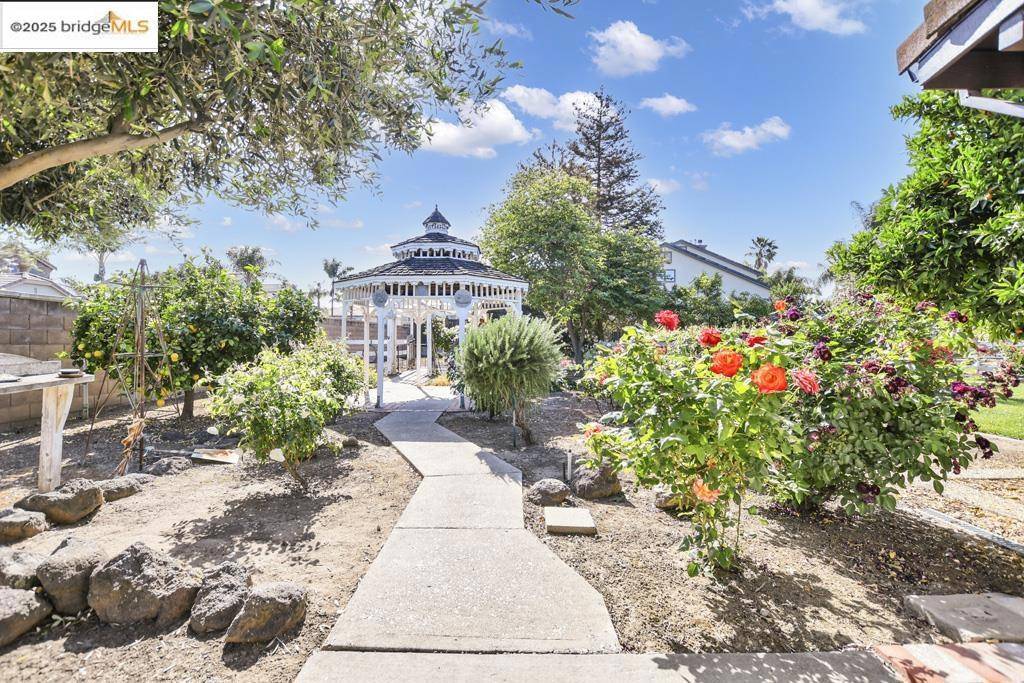 Brentwood, CA 94513,3215 Ohara Ave
