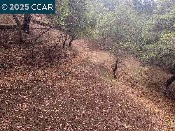 Mountain View Ave, Oakland, CA 94605