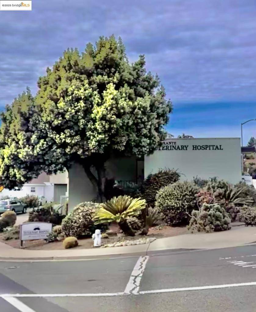 El Sobrante, CA 94803-9999,401 Valley View Road
