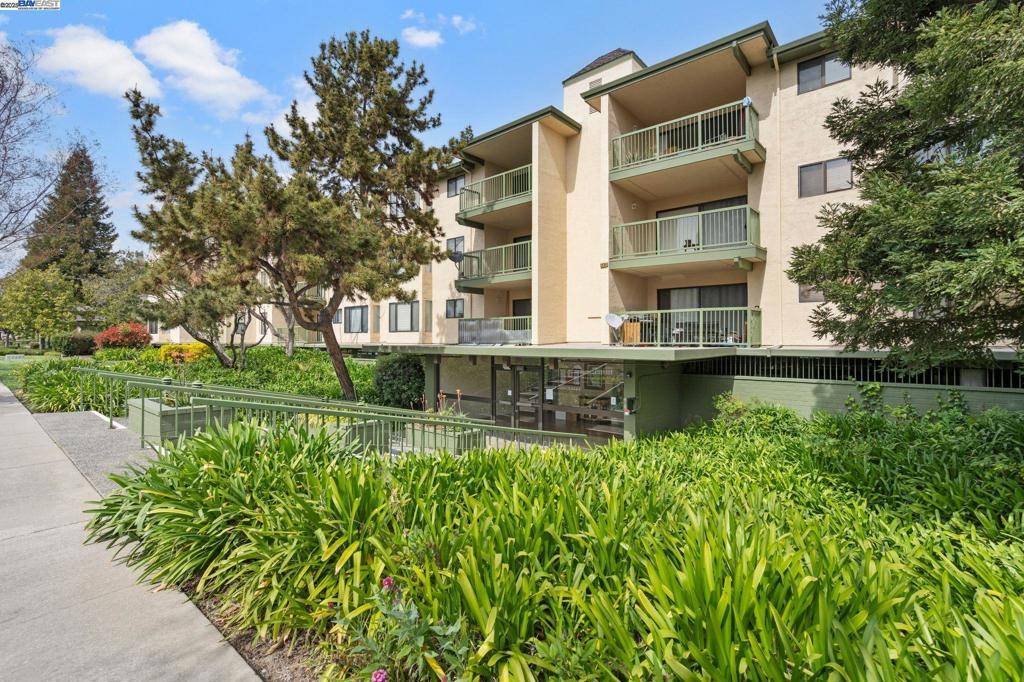 38780 Tyson Ln #206C, Fremont, CA 94536