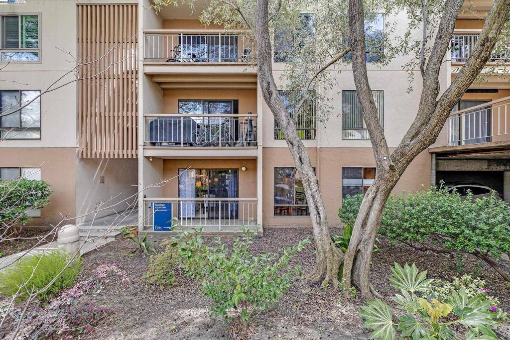 420 N Civic Dr #101,  Walnut Creek,  CA 94596