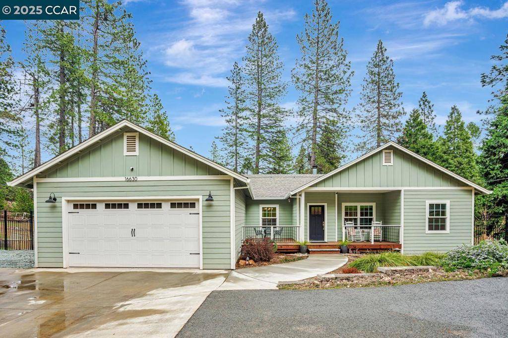 16630 Alpine Ln,  Pioneer,  CA 95666