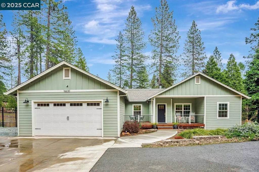 Pioneer, CA 95666,16630 Alpine Ln