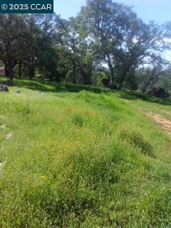 Browns Valley, CA 95918,56 Deer Hollow Trail