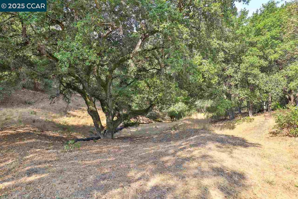 Orinda, CA 94597-3016,63 Scenic Dr