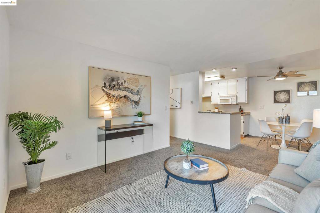 Vallejo, CA 94590,297 Lighthouse Dr