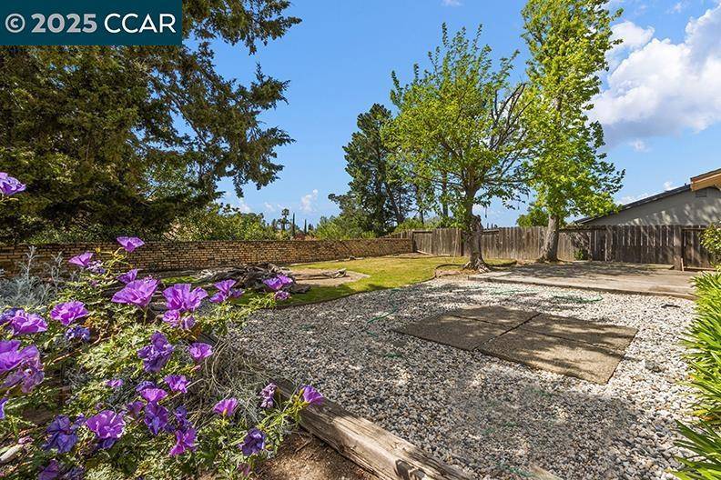 Martinez, CA 94553-5317,1559 Martindale