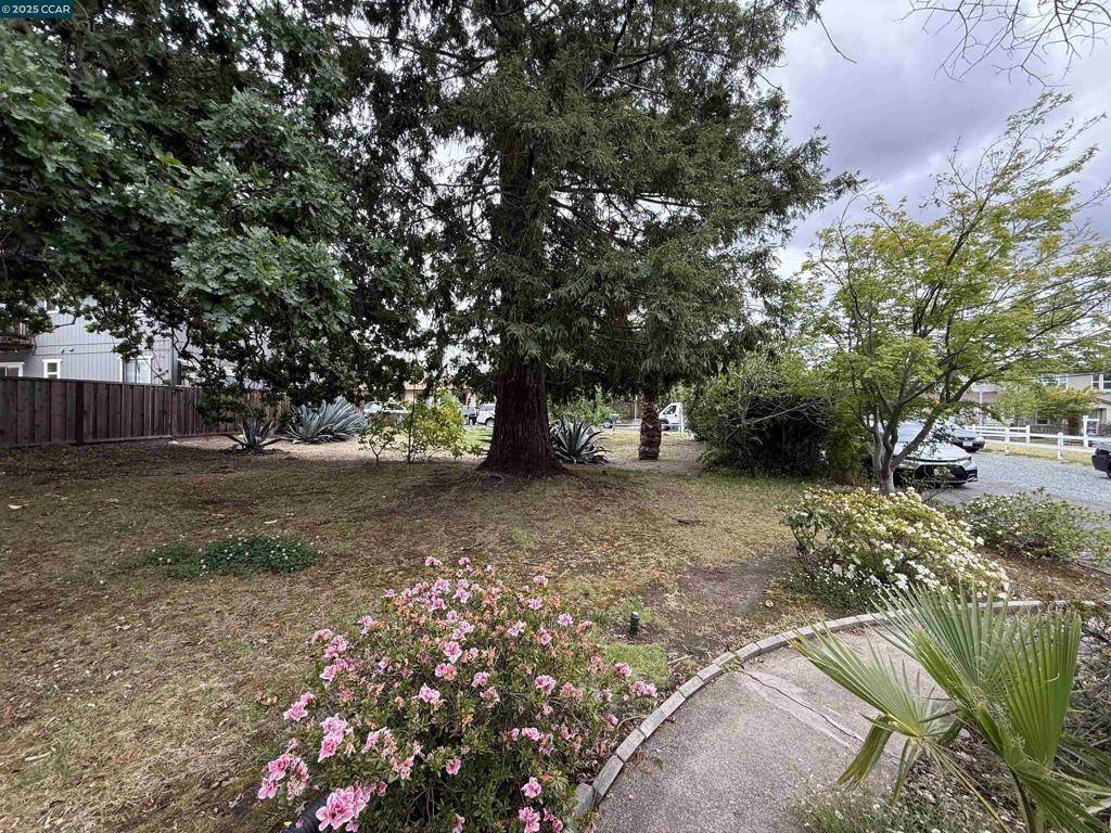 Walnut Creek, CA 94597,1580 3rd Ave