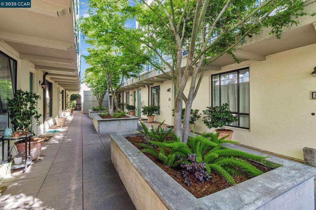 Oakland, CA 94611,4395 Piedmont Ave #P208