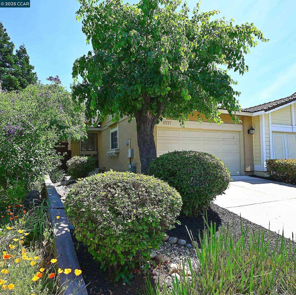 5337 Grasswood Circle, Concord, CA 94521