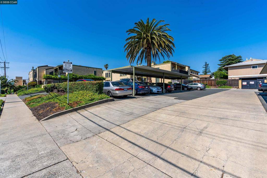 Concord, CA 94520,1851 Harrison St #6