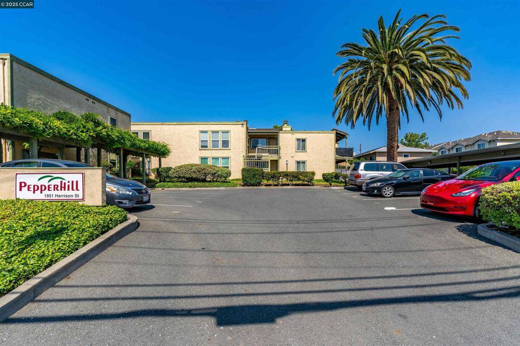 Concord, CA 94520,1851 Harrison St #6
