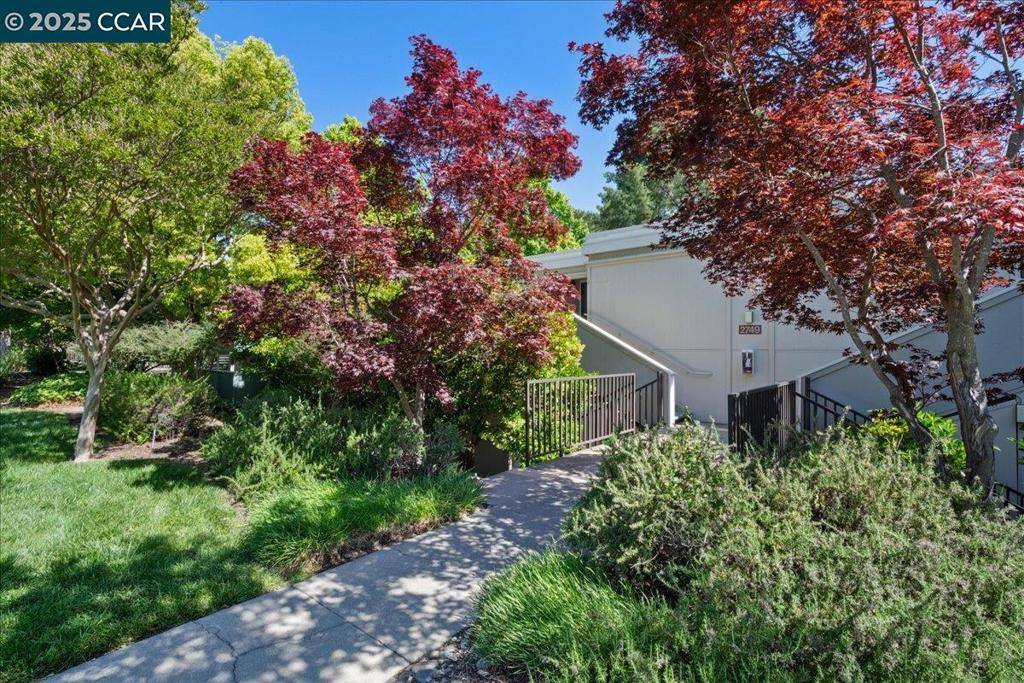 Walnut Creek, CA 94595,2749 Pine Knoll Dr. #1