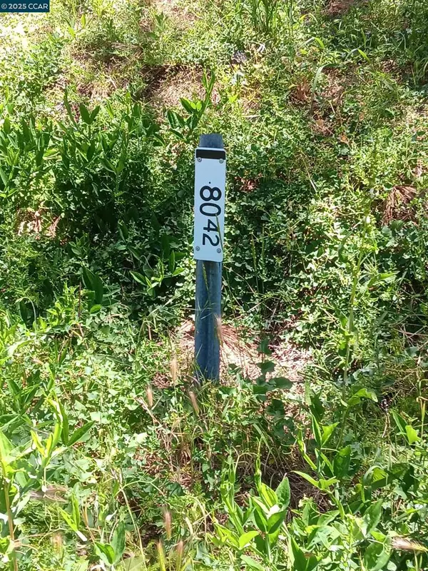 Laytonville, CA 95454,56025 Highway 101