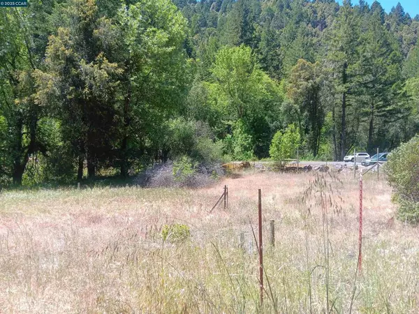 Laytonville, CA 95454,55855 Highway 101