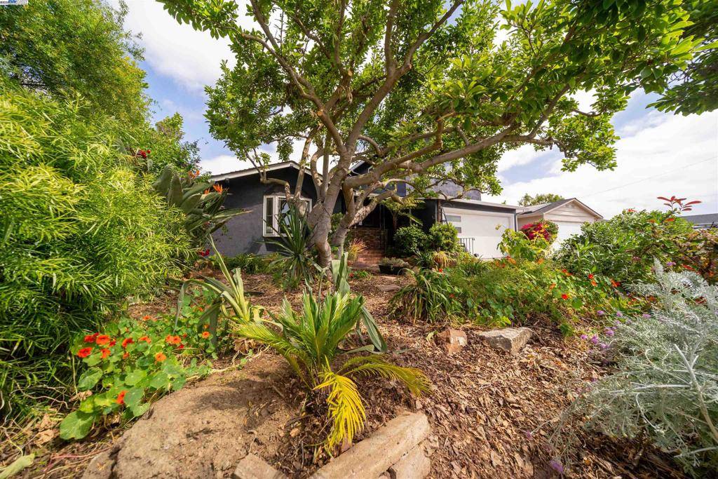Fremont, CA 94538,4677 Piper St