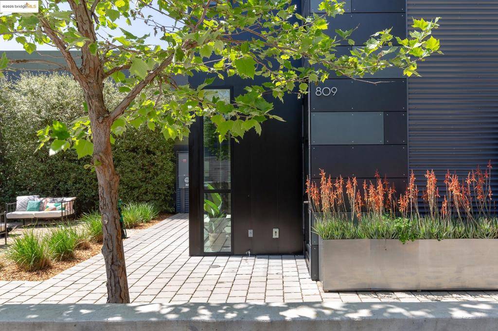 Berkeley, CA 94710,809 Folger Ave