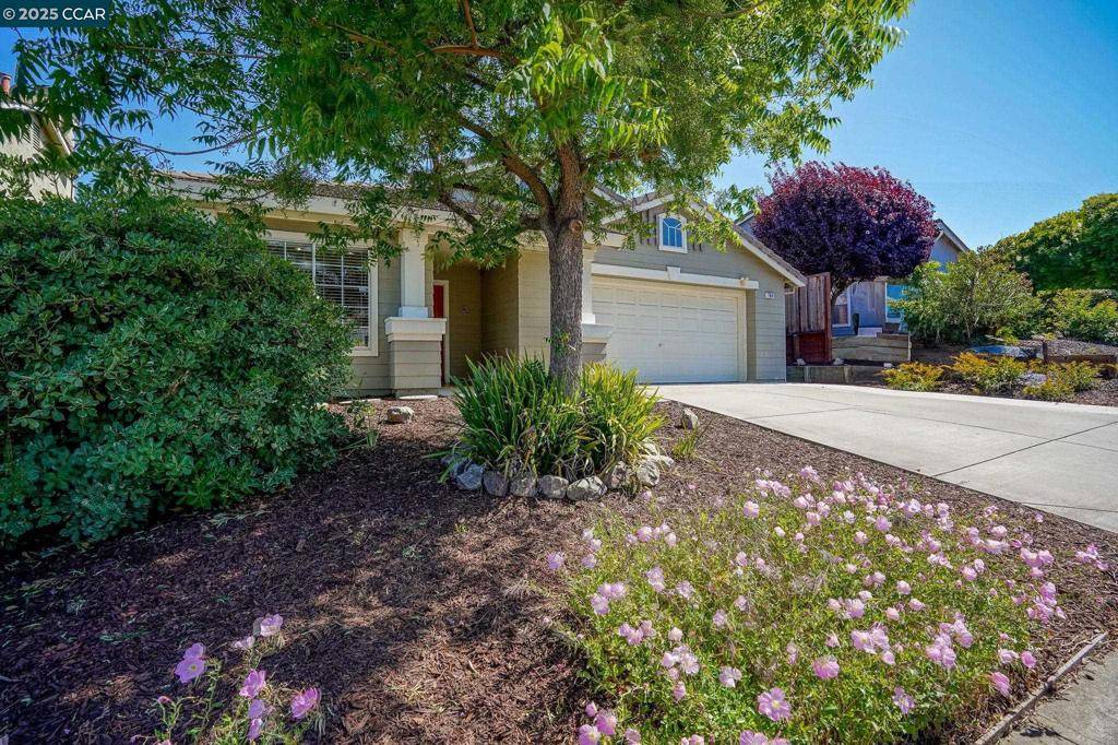 Bay Point, CA 94565,764 Steffa St