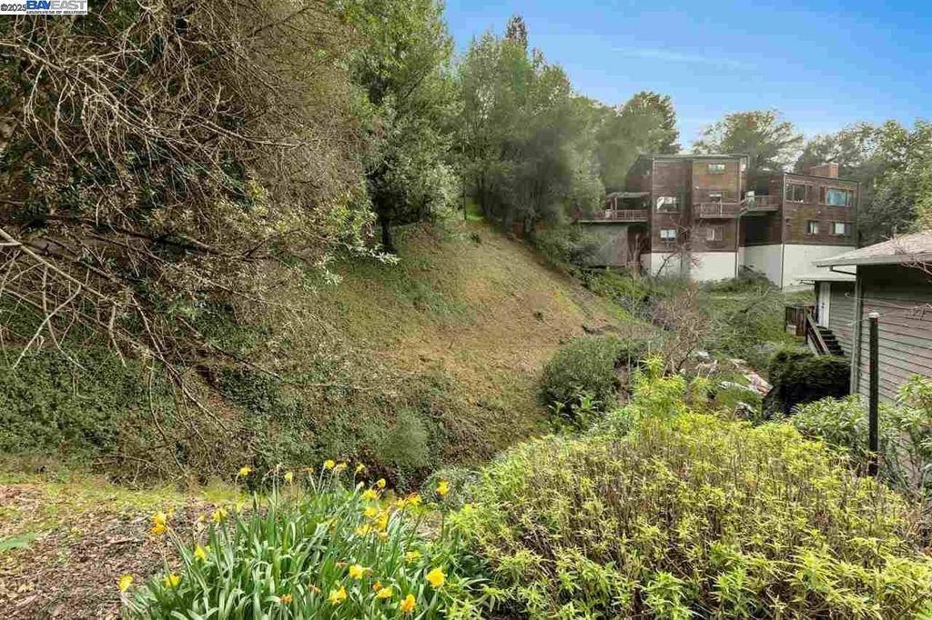 Oakland, CA 94661,0 Elderberry Dr