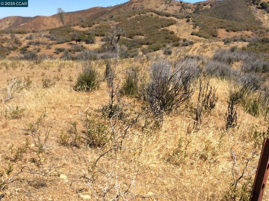 0 Del Puerto Canyon Road, Patterson, CA 95363
