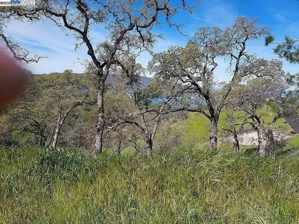 Napa, CA 94558,1123 Headlands Drive