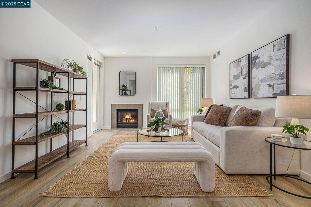 Walnut Creek, CA 94596,1655 N California Blvd #338