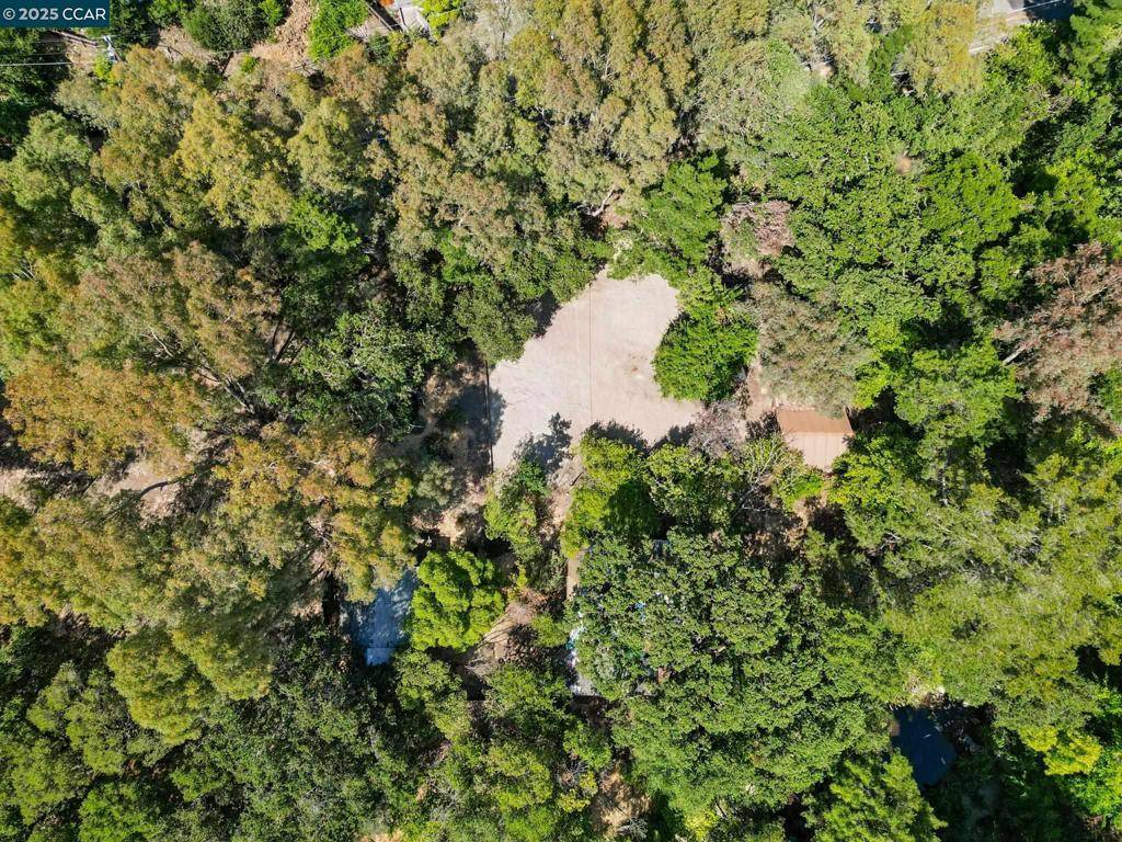 Walnut Creek, CA 94595,1491 Boulevard Way