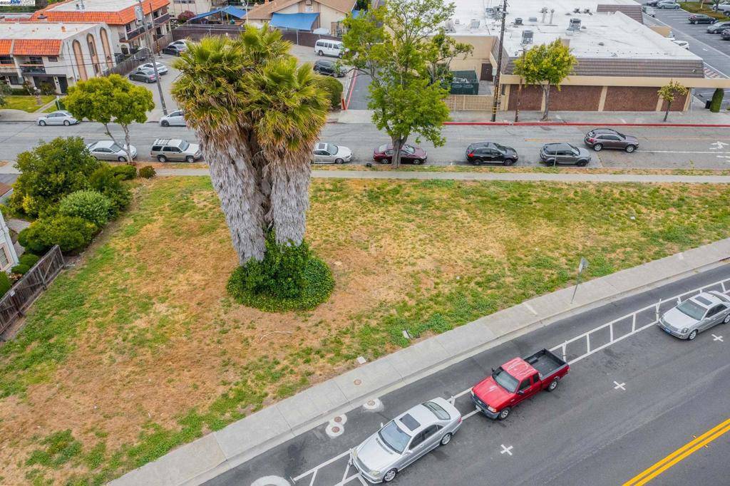 San Leandro, CA 94577,1405 Grand Ave