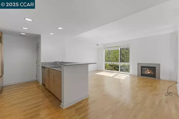 Walnut Creek, CA 94596,1655 N California Blvd #232