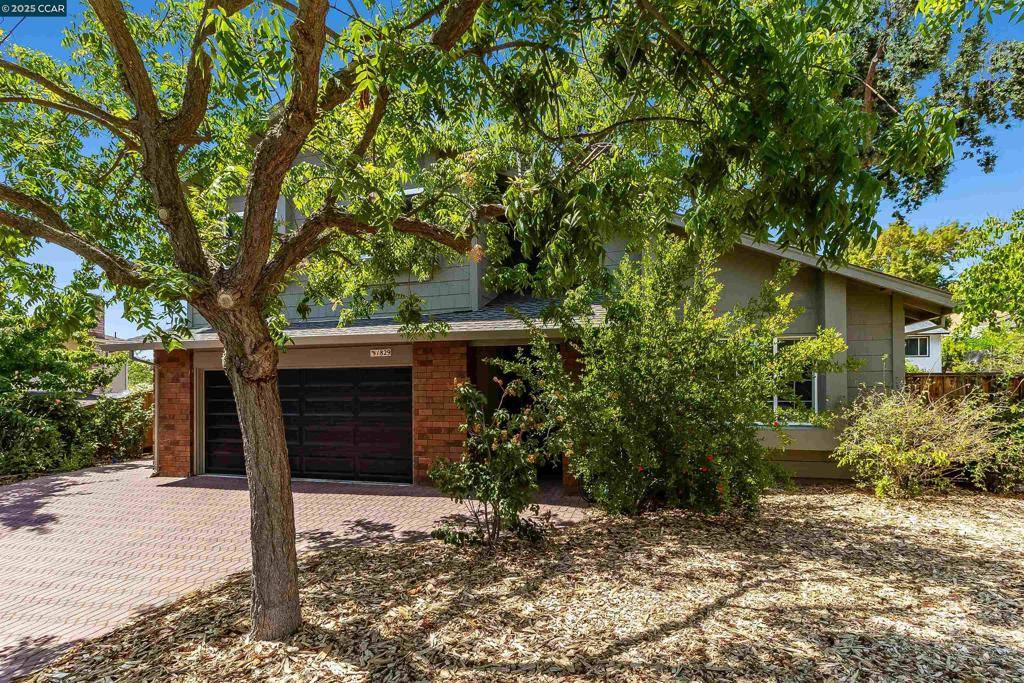 Clayton, CA 94517,1829 Yolanda Cir