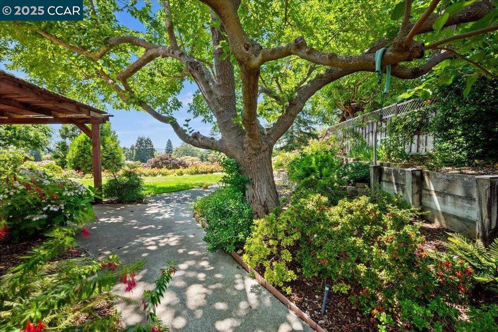 Walnut Creek, CA 94598,681 Rock Oak Rd