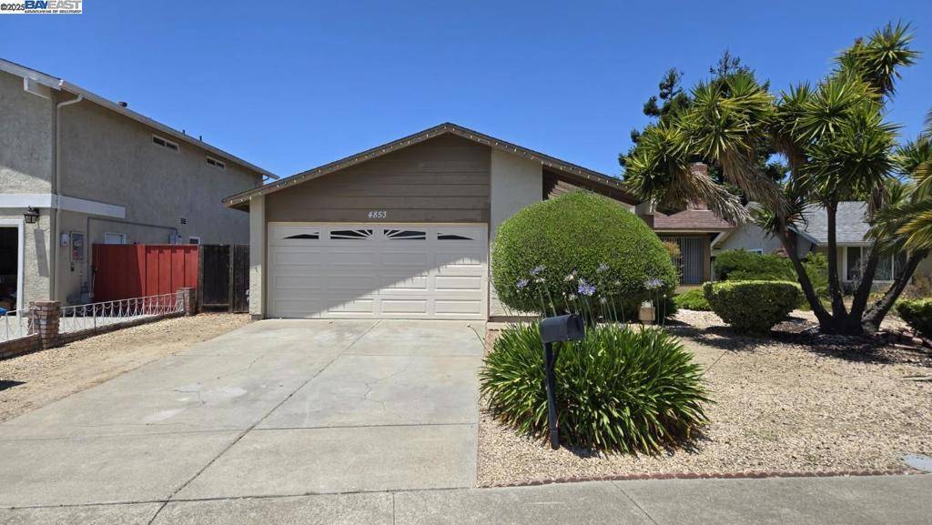 4853 Sally Ct, Union City, CA 94587