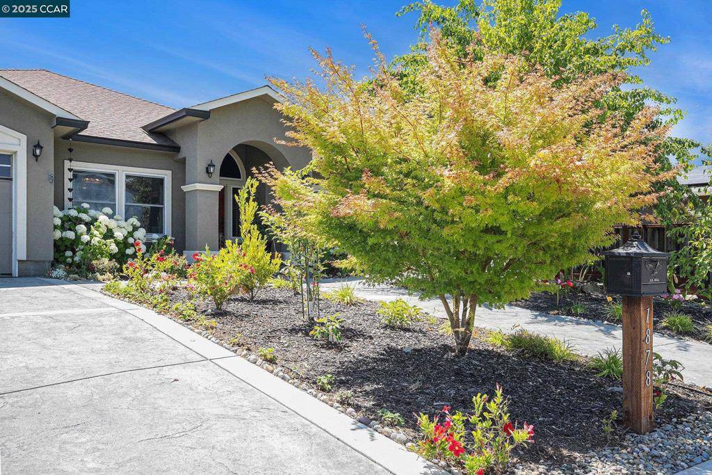 Benicia, CA 94510,1878 Casa Grande Street