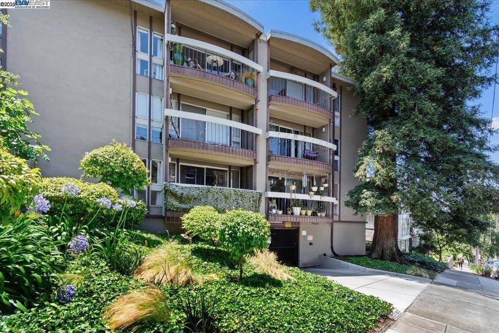 Oakland, CA 94611,323 Monte Vista Ave #303
