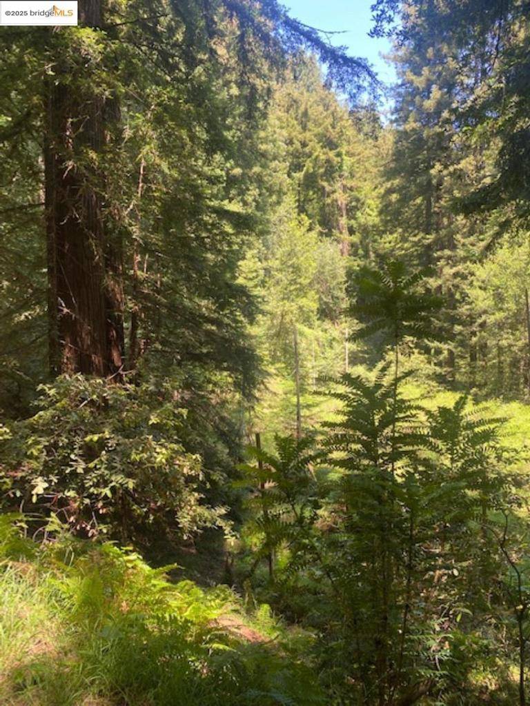 Mill Valley, CA 94941,2 Wainwright Pl