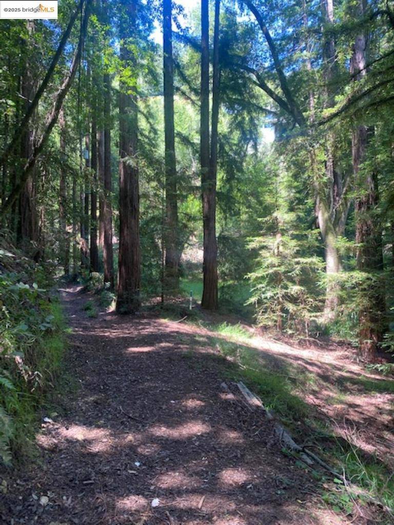 2 Wainwright Pl, Mill Valley, CA 94941