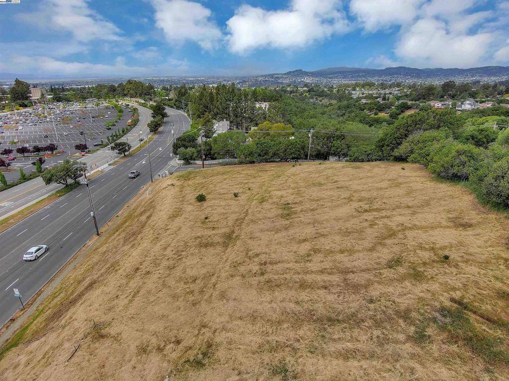 Hayward, CA 94542,0 Hayward Blvd