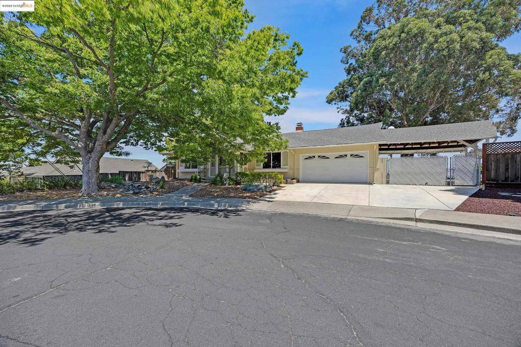 Walnut Creek, CA 94597