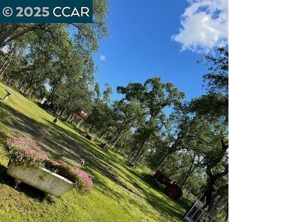 Copperopolis, CA 95228,5098 Cantle Road