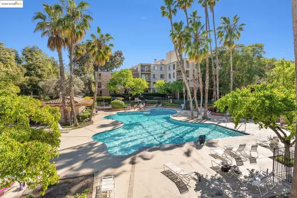 470 N N Civic Drive #105, Walnut Creek, CA 94596
