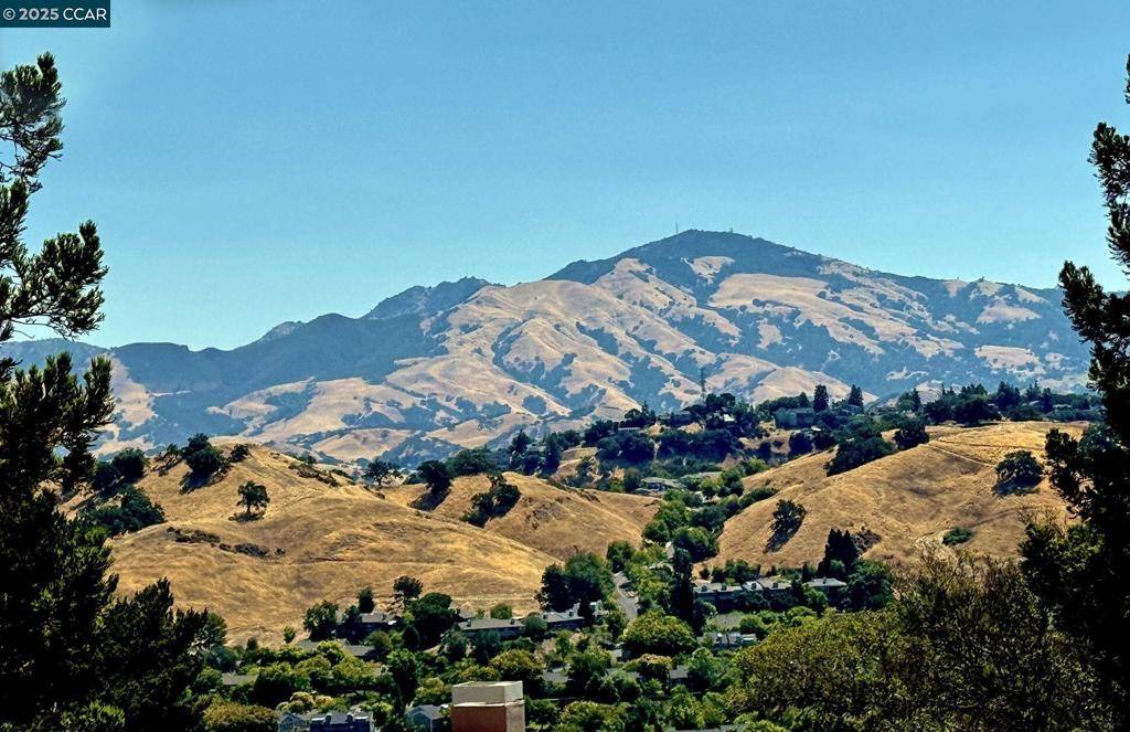 1824 Stanley Dollar Dr #4C, Walnut Creek, CA 94595