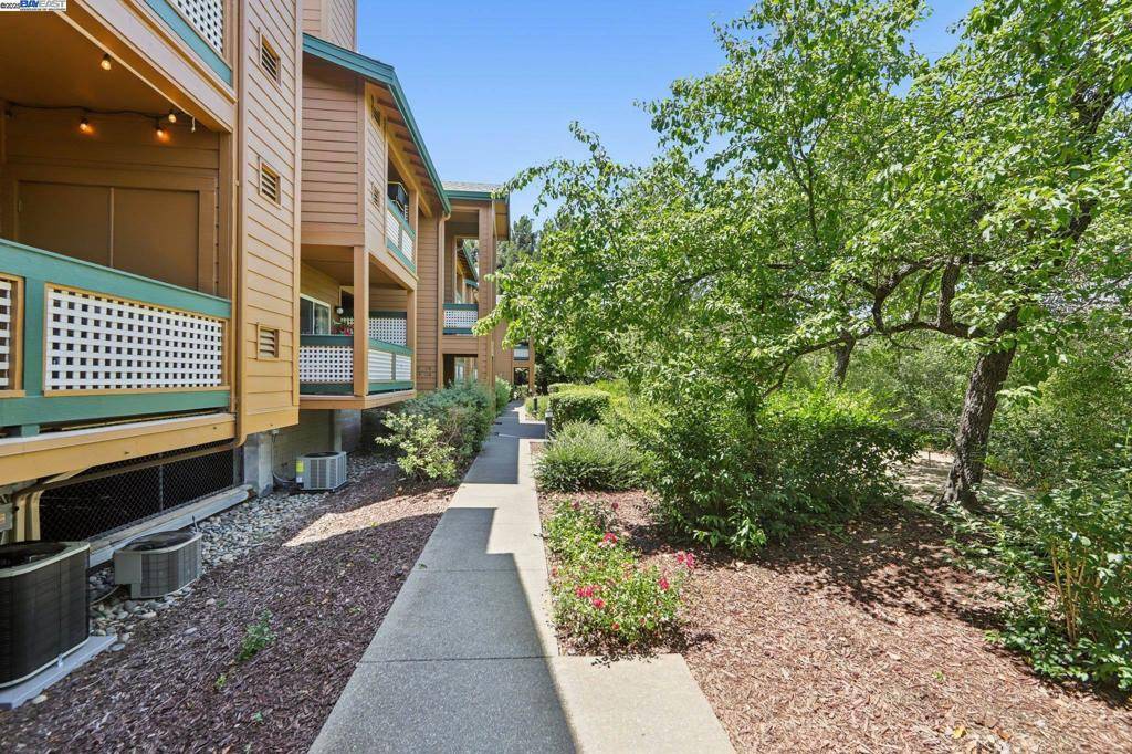 San Ramon, CA 94583,113 Stone Pine Ln