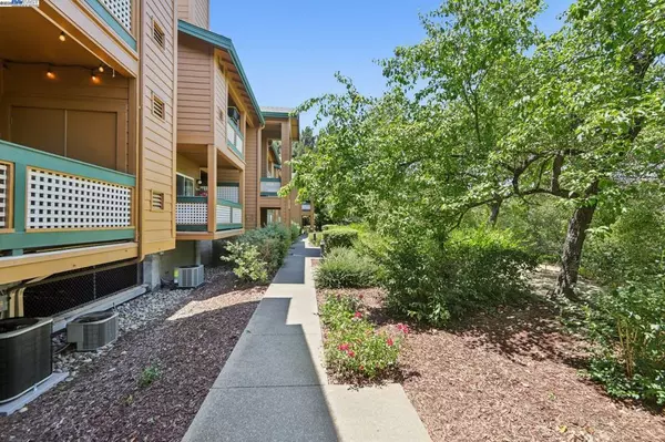 San Ramon, CA 94583,113 Stone Pine Ln