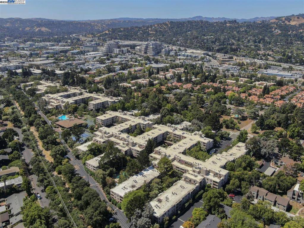 Walnut Creek, CA 94596,430 N Civic Drive #313