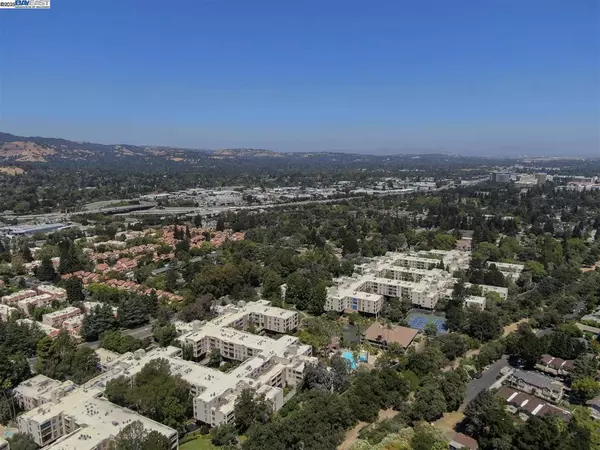 Walnut Creek, CA 94596,430 N Civic Drive #313