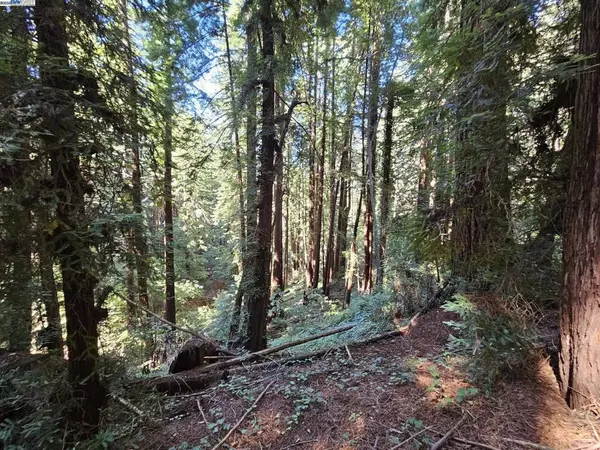 Woodside, CA 94062,26 Old La Honda Rd