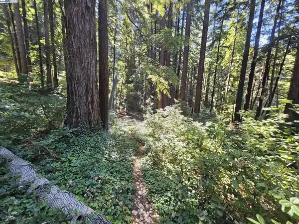 27 Old La Honda Rd, Woodside, CA 94062