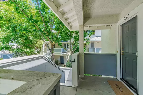 Walnut Creek, CA 94597,2584 Oak Rd #227